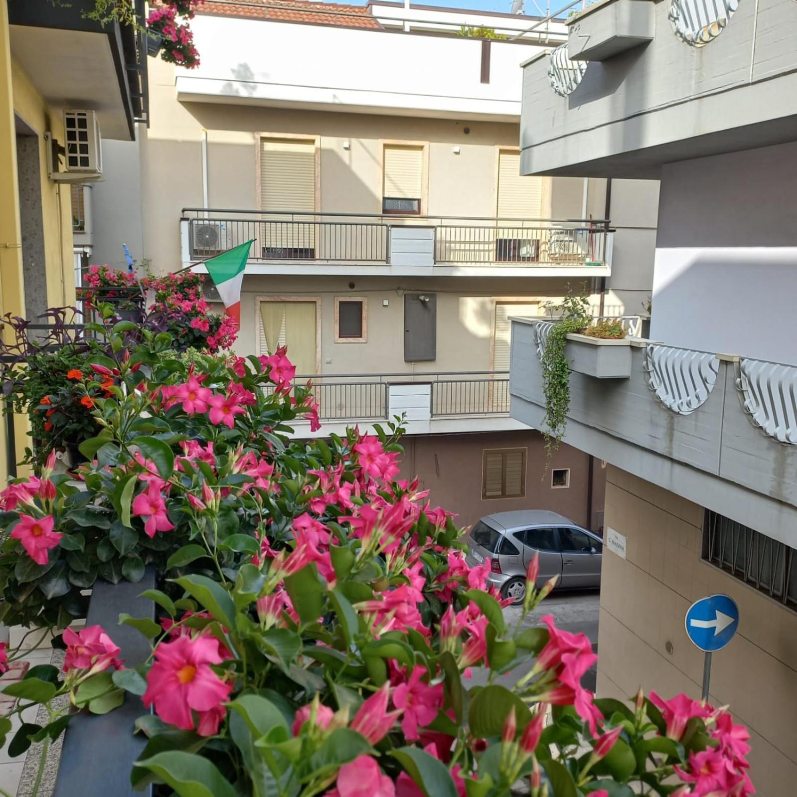 B&B Stupor Mundi Altamura Bagian luar foto